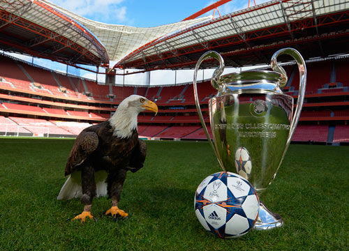 乒乓球：林诗栋迎战日本张本智和